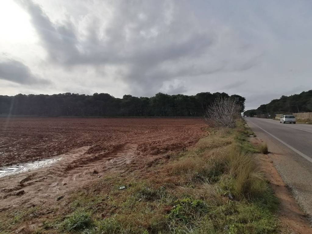Terreno a Maglie in Sp 361 s.n.c - Foto 2