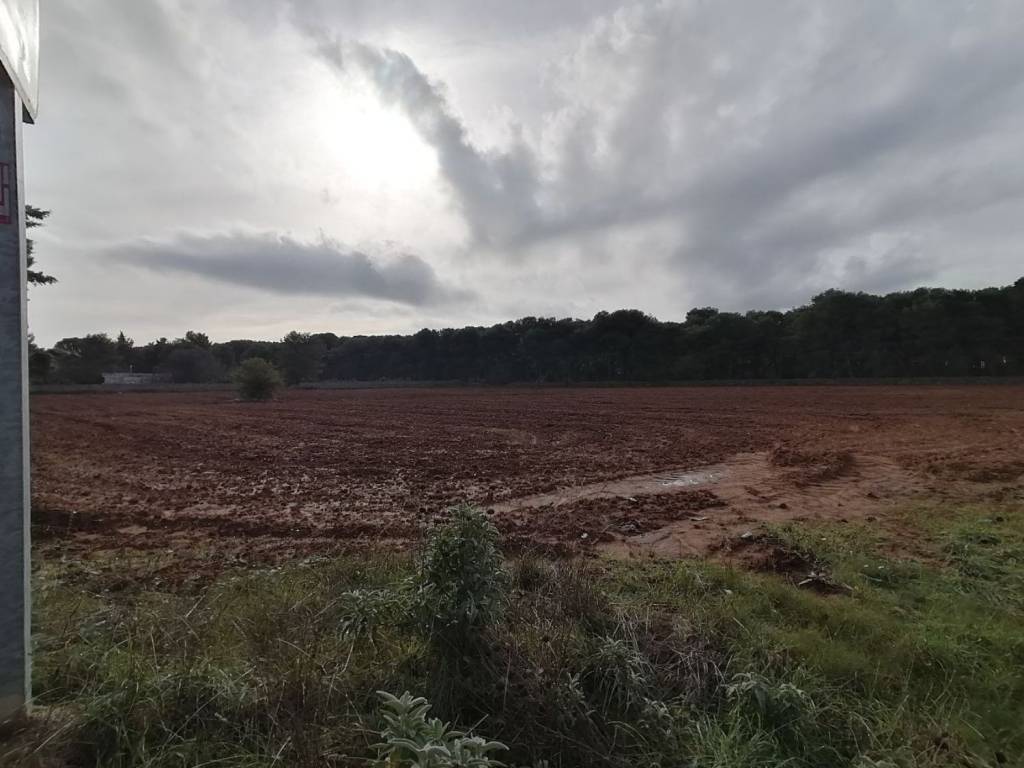 Terreno a Maglie in Sp 361 s.n.c - Foto 3