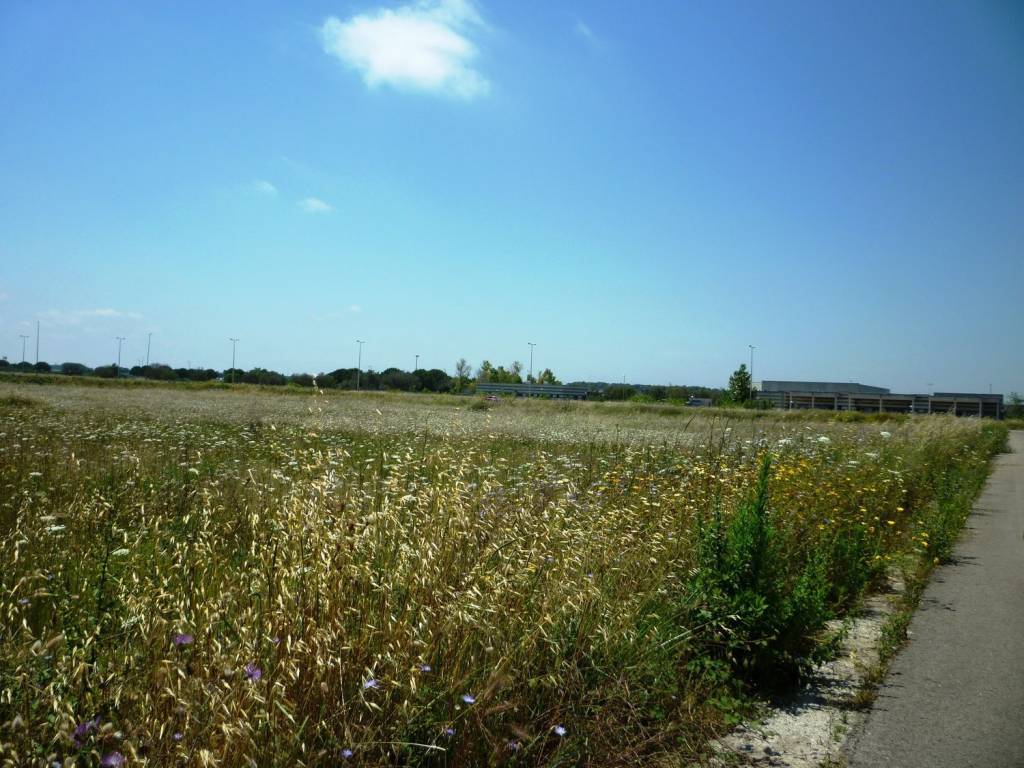 Terreno a Melpignano in Unnamed Road, 73020 Melpignano LE, Italia s.n.c - Foto 5