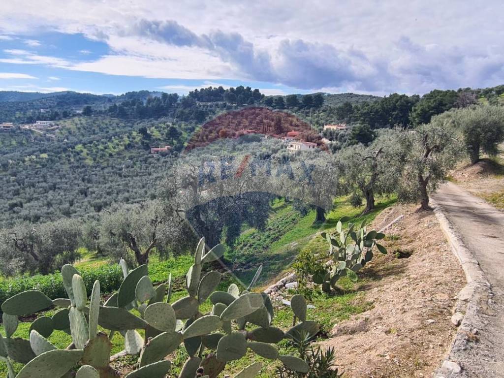 Terreno a Vieste in Località Grotta Spagnola - Foto 2