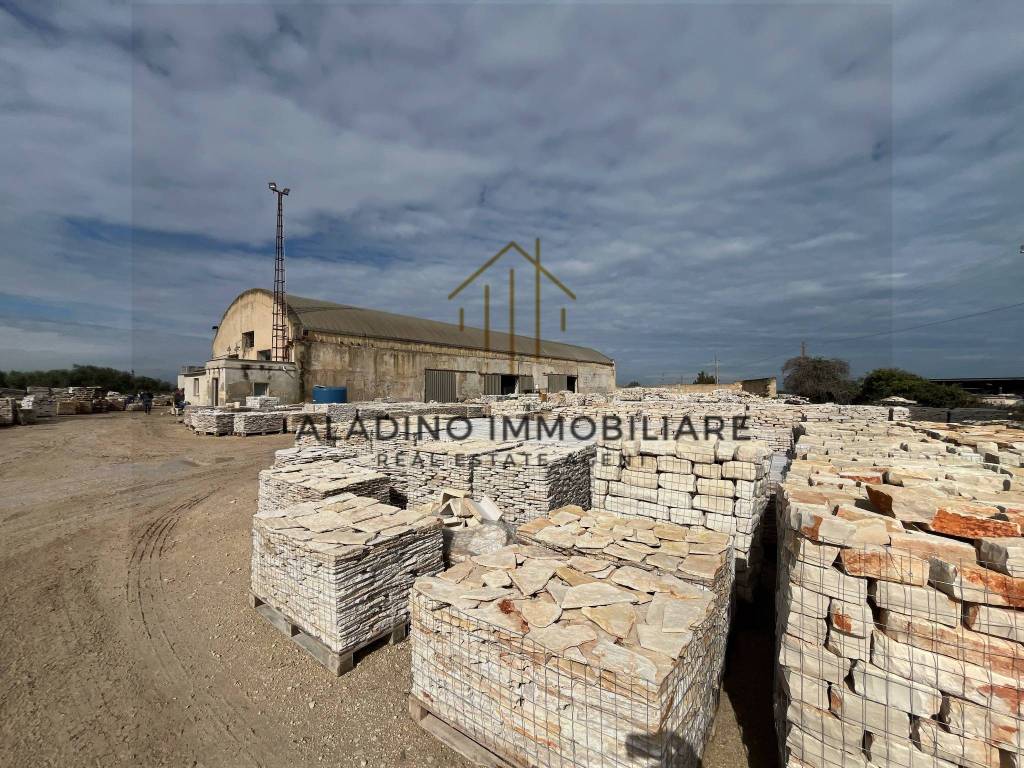 Immobile a Trani in Contrada Gesù Maria, 21 - Foto 5