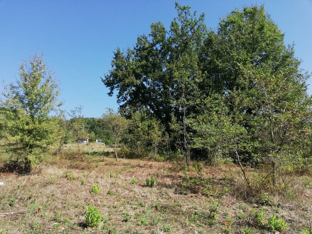 Terreno a Caiazzo in Via Tassaroni - Foto 3