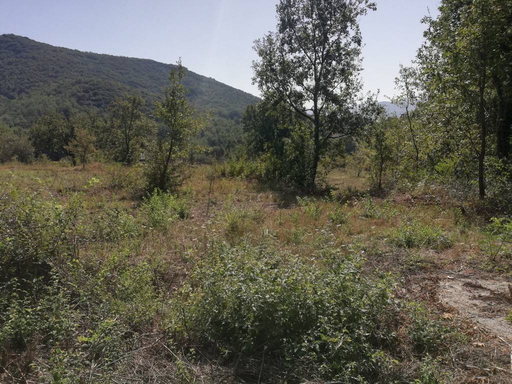 Terreno a Caiazzo in Via Tassaroni - Foto 4