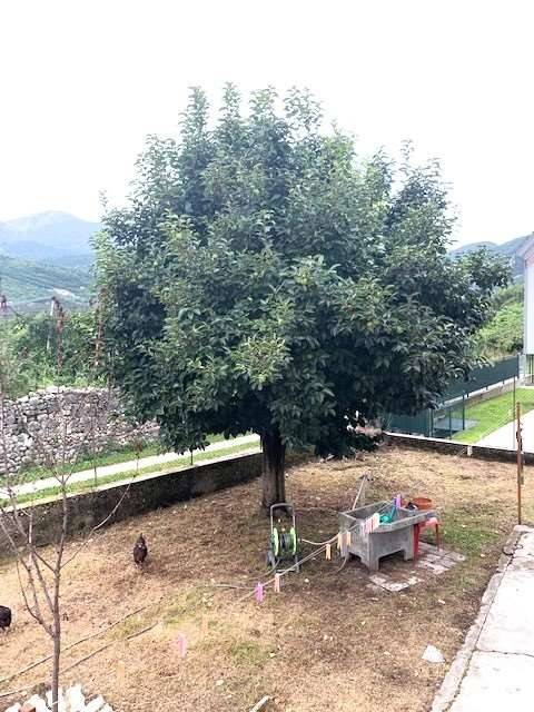 Villa a Rovereto - Foto 4