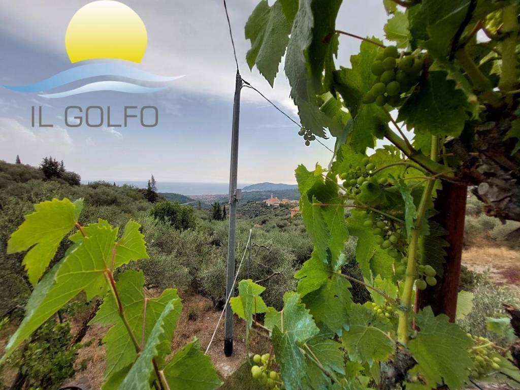 Terreno a San bartolomeo al mare - Foto 2