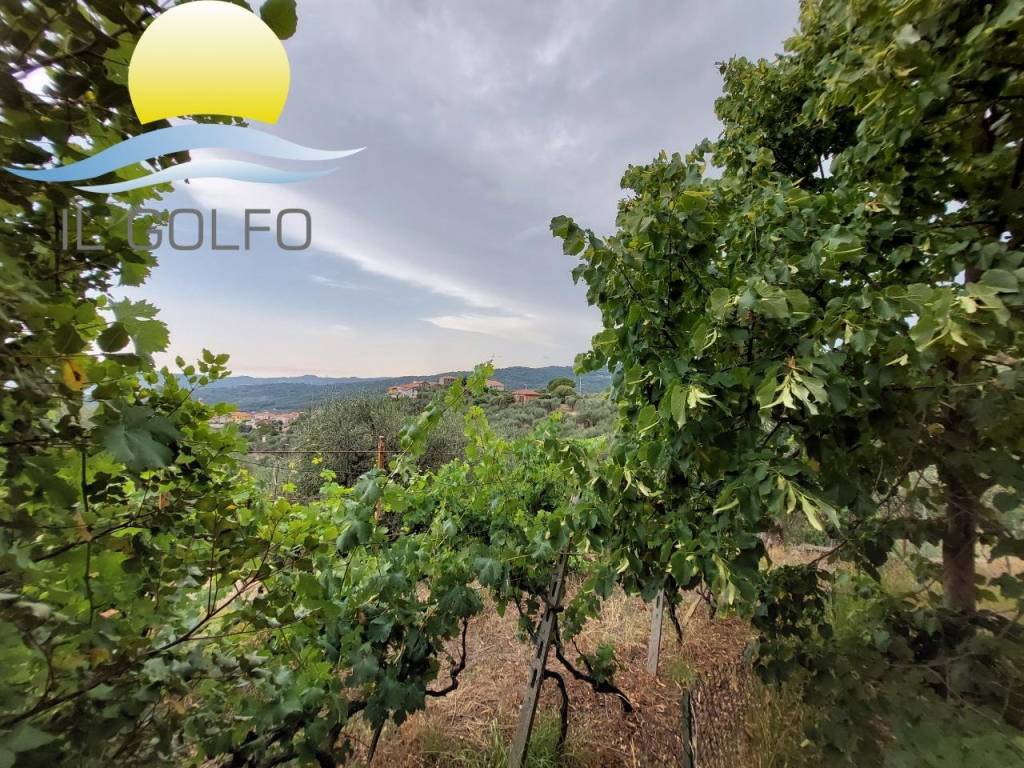 Terreno a San bartolomeo al mare - Foto 3