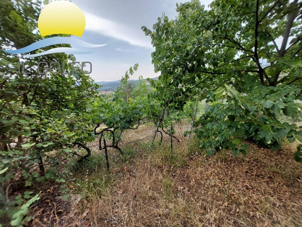 Terreno a San bartolomeo al mare - Foto 4