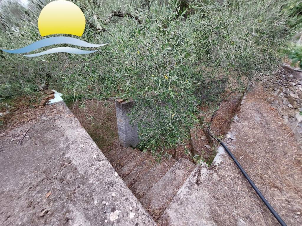 Terreno a San bartolomeo al mare - Foto 5