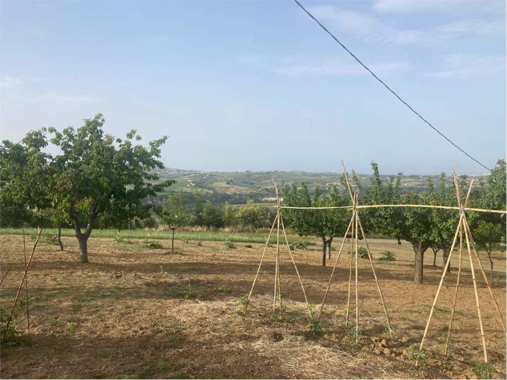 Terreno a Collecorvino in CDA CAPARRONE - Foto 2