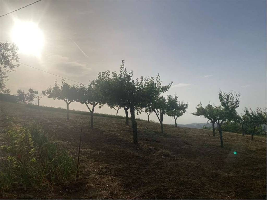 Terreno a Collecorvino in CDA CAPARRONE - Foto 3