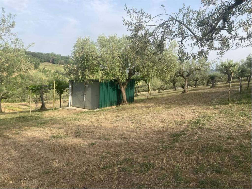 Terreno a Collecorvino in CDA CAPARRONE - Foto 4