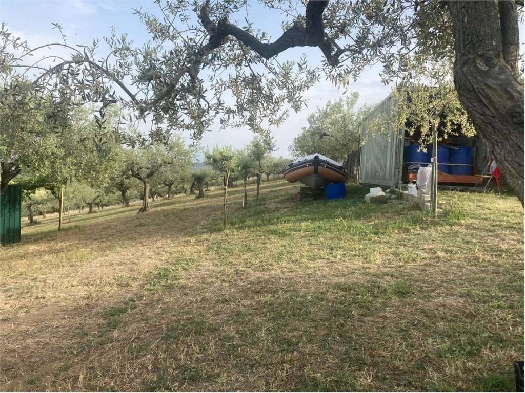 Terreno a Collecorvino in CDA CAPARRONE - Foto 5