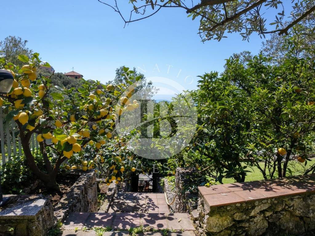 Villa a Varazze - Foto 5