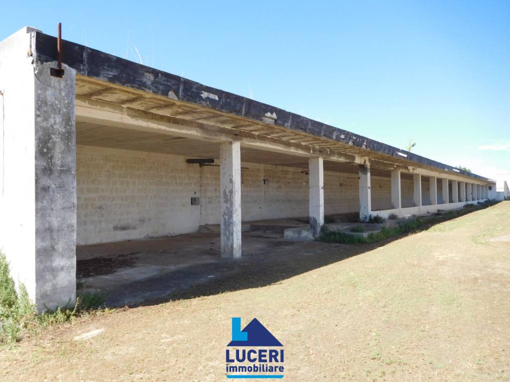 Rustico / casale a Galatone in SS101 - Foto 3