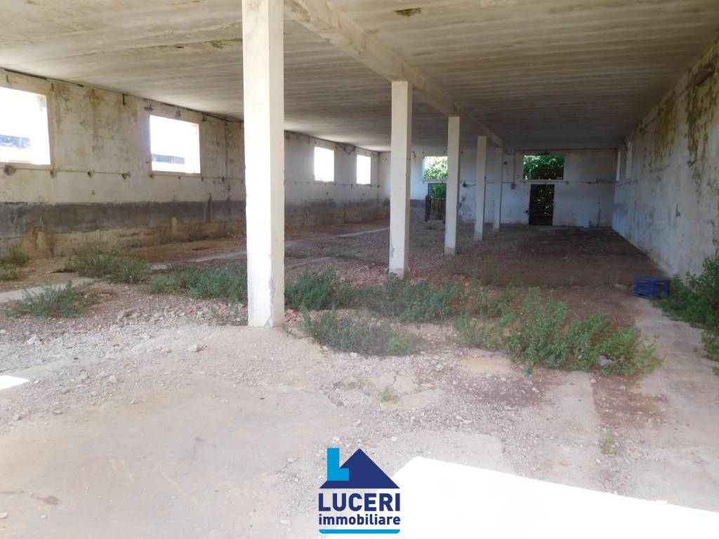 Rustico / casale a Galatone in SS101 - Foto 4