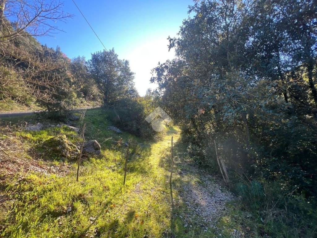 Terreno a Torri in sabina in Via torri rocchette - Foto 2
