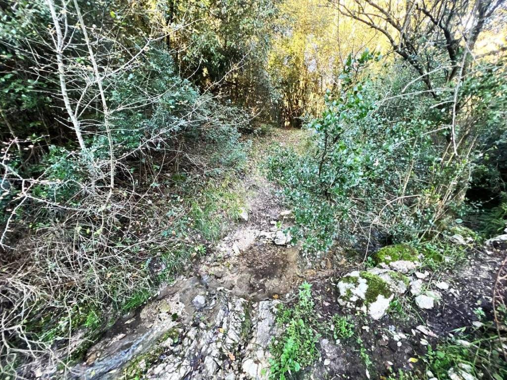 Terreno a Torri in sabina in Via torri rocchette - Foto 4