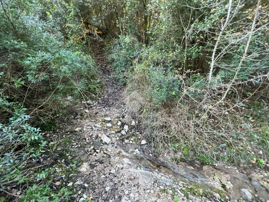 Terreno a Torri in sabina in Via torri rocchette - Foto 5