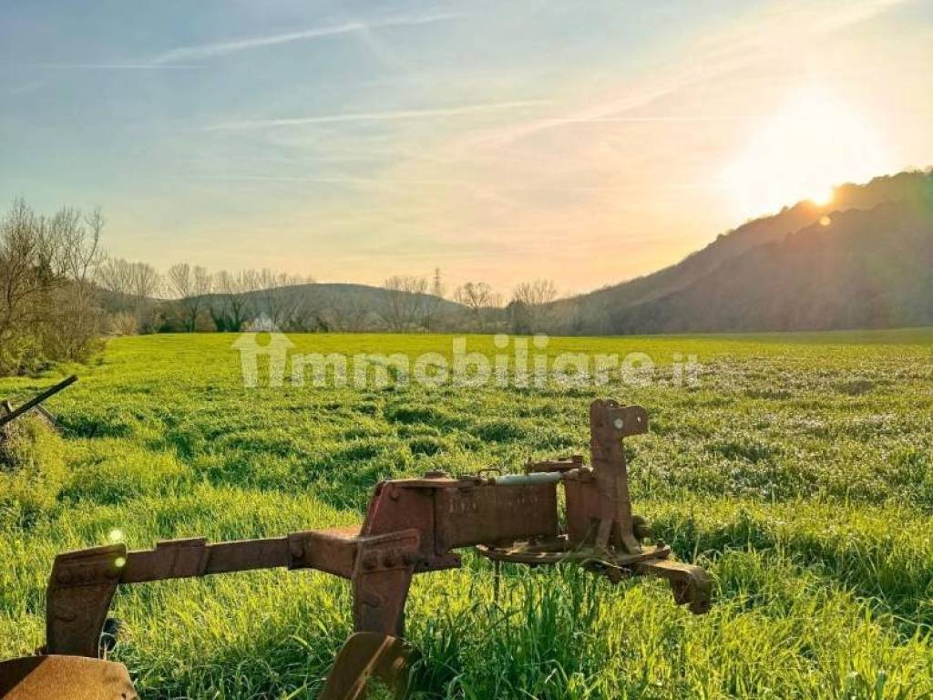 Terreno a Tuscania in Strada Tuscanese - Foto 5