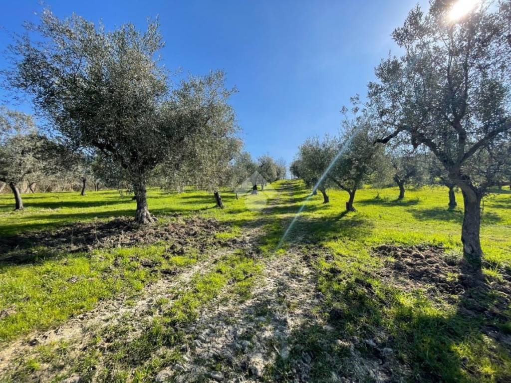 Rustico / casale a Casperia in VIA RIPETTE - Foto 5