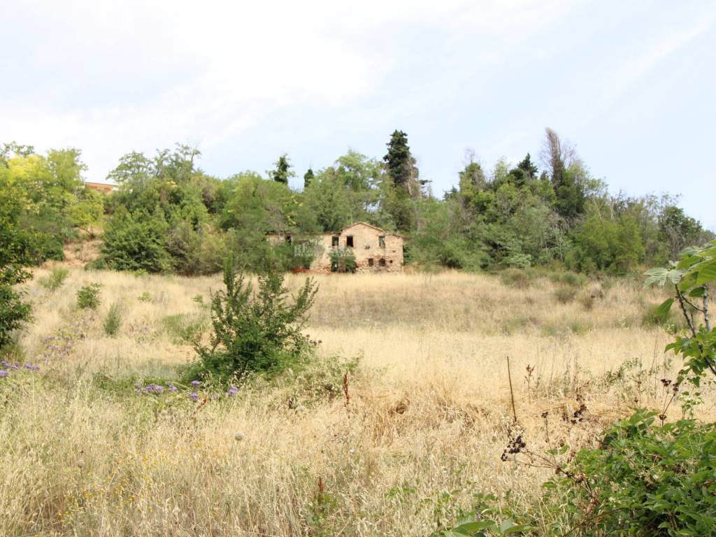 Rustico / casale a Ripatransone in via acquarola - Foto 5