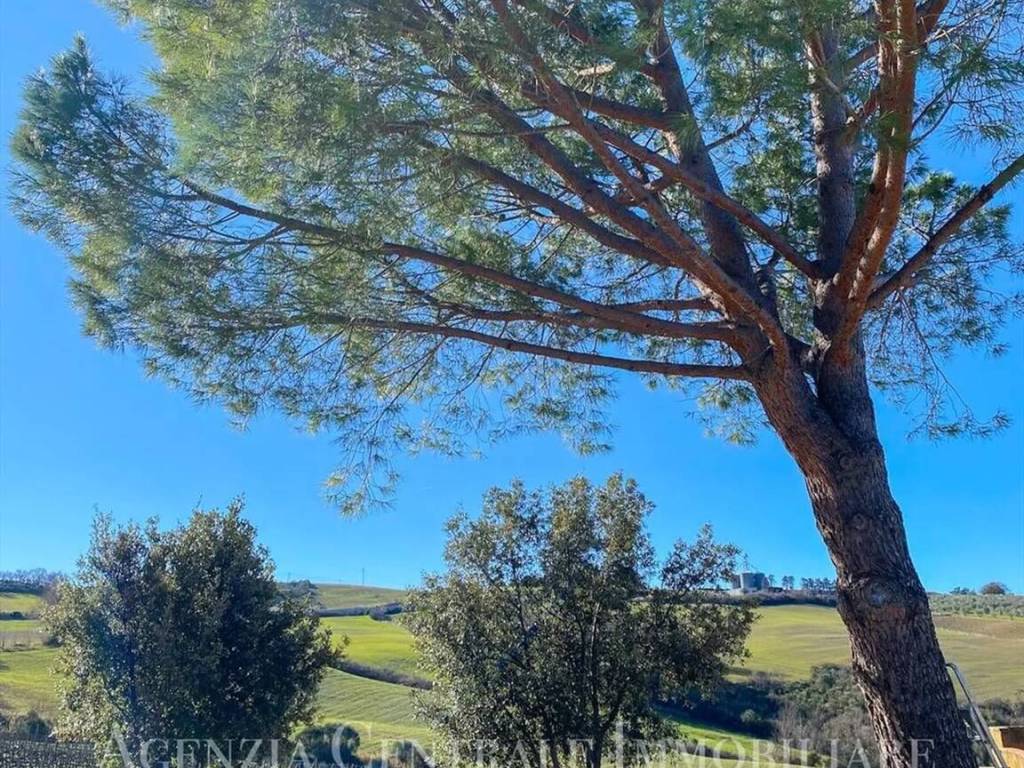 Rustico / casale a Cinigiano in Sp7, 1 - Foto 2