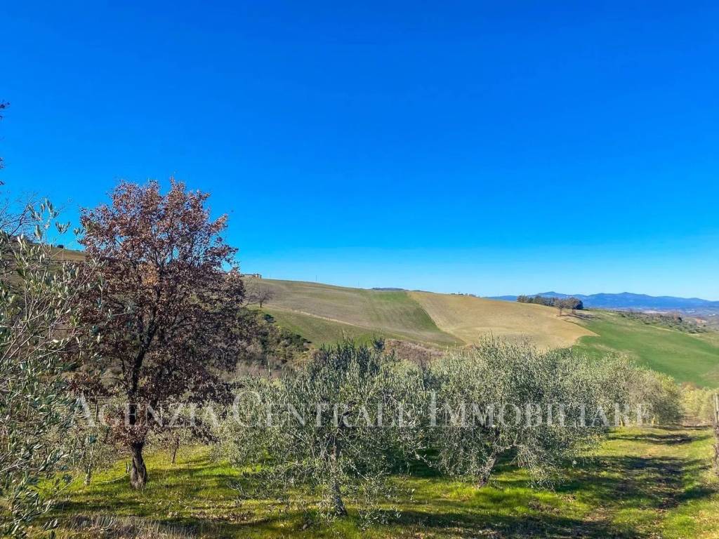 Rustico / casale a Cinigiano in Sp7, 1 - Foto 3