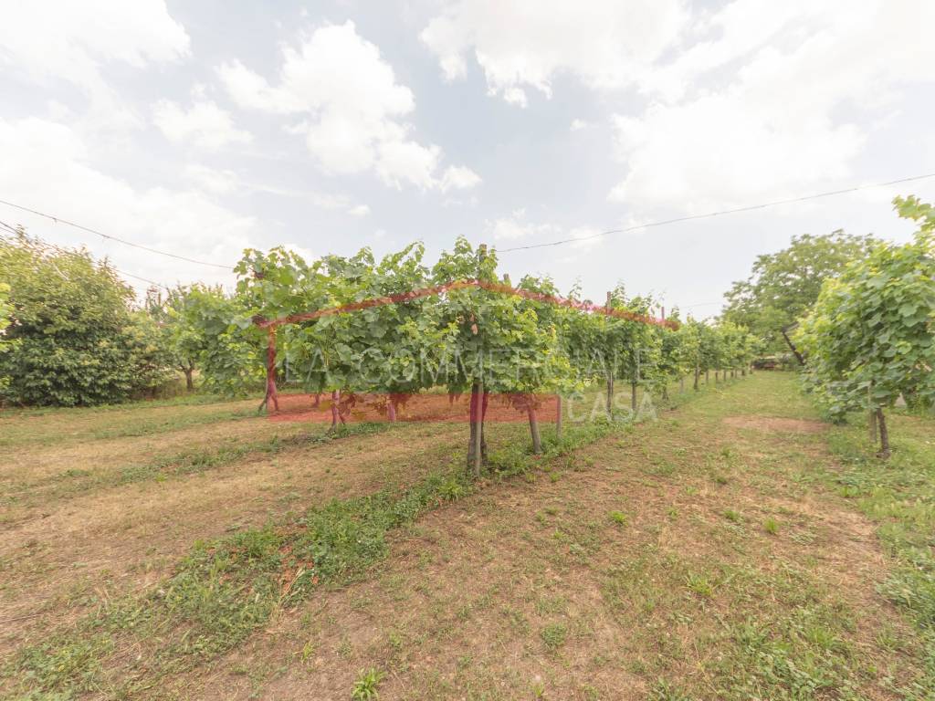 Rustico / casale a Mogliano veneto - Foto 3