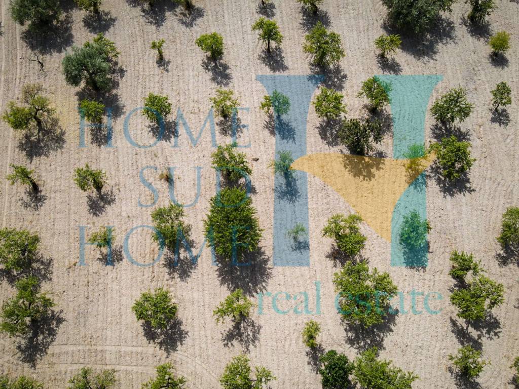 Terreno a Noto in Via Tommaso Fazello, 228 - Foto 3