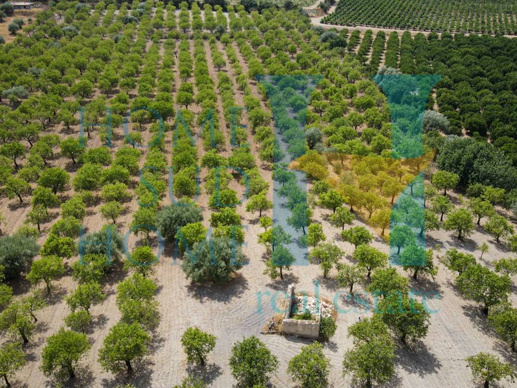 Terreno a Noto in Via Tommaso Fazello, 228 - Foto 5