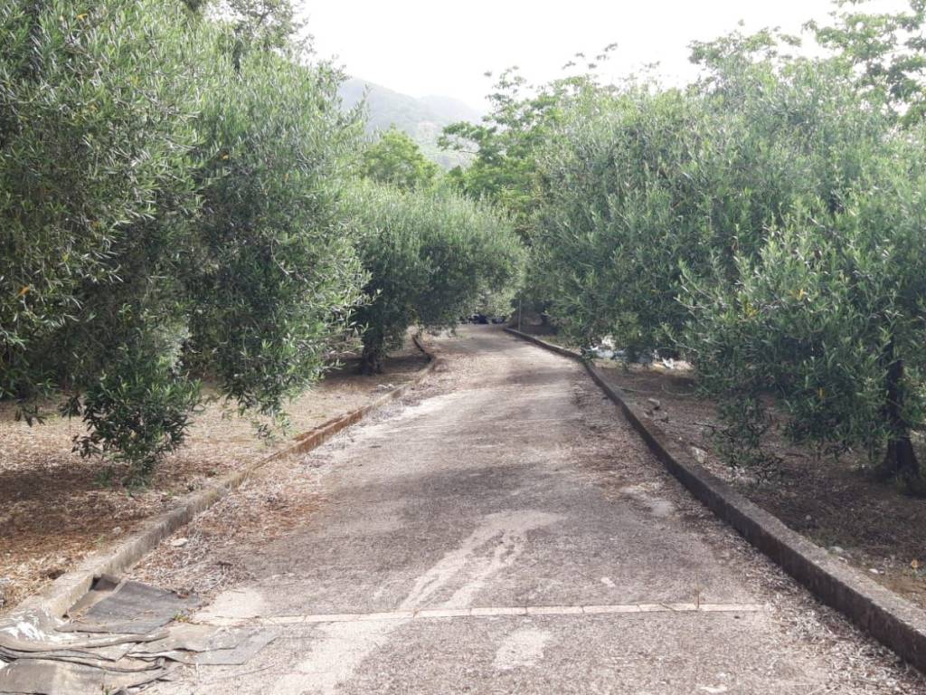 Terreno a Sarno - Foto 2