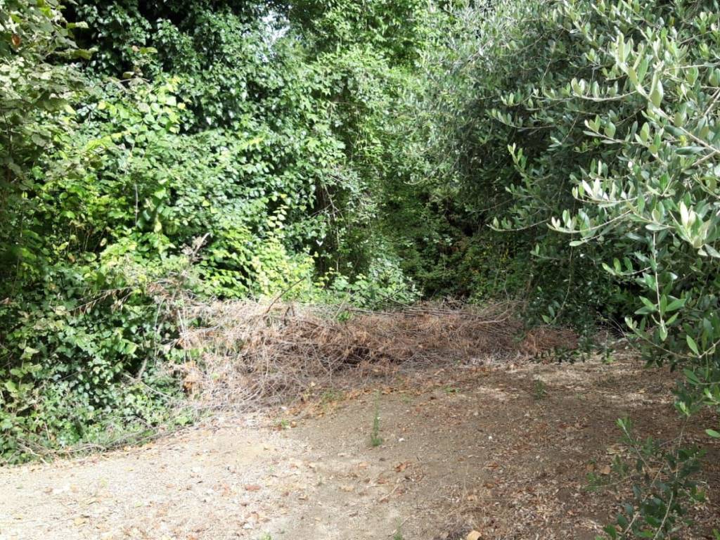 Terreno a Sarno - Foto 4