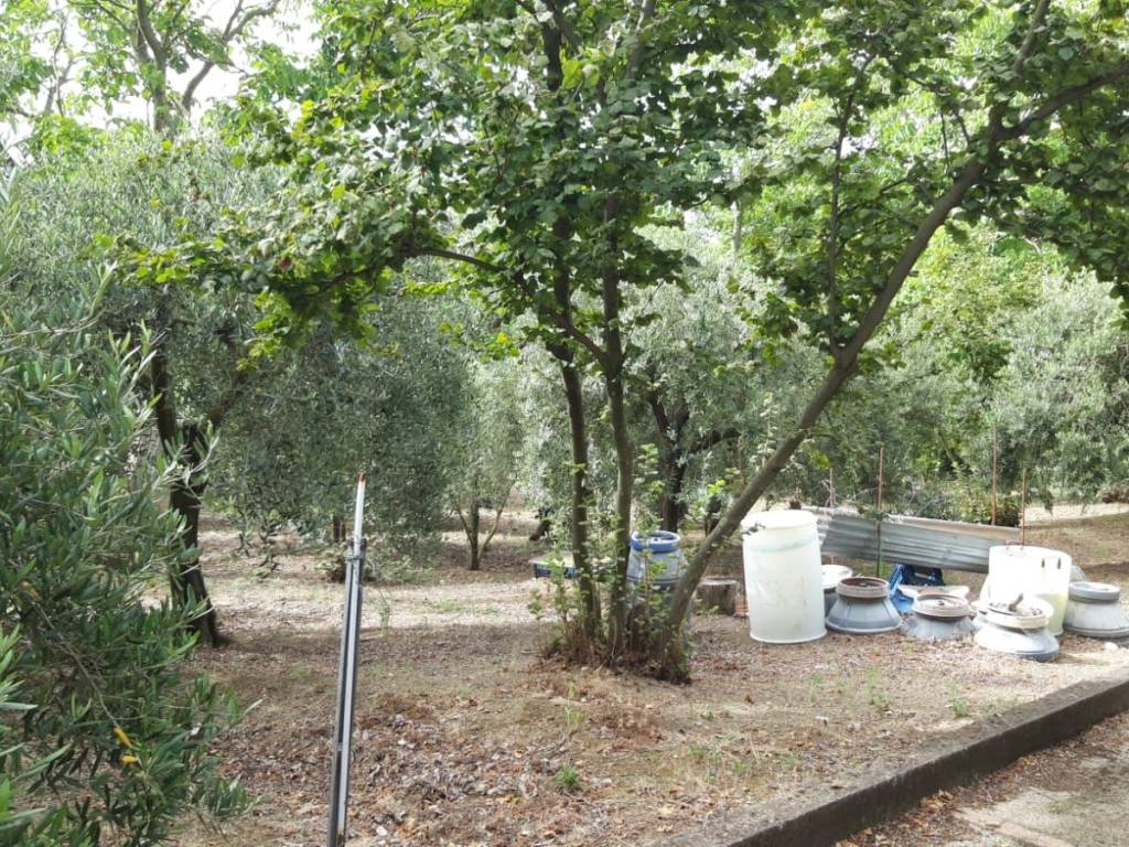 Terreno a Sarno - Foto 5