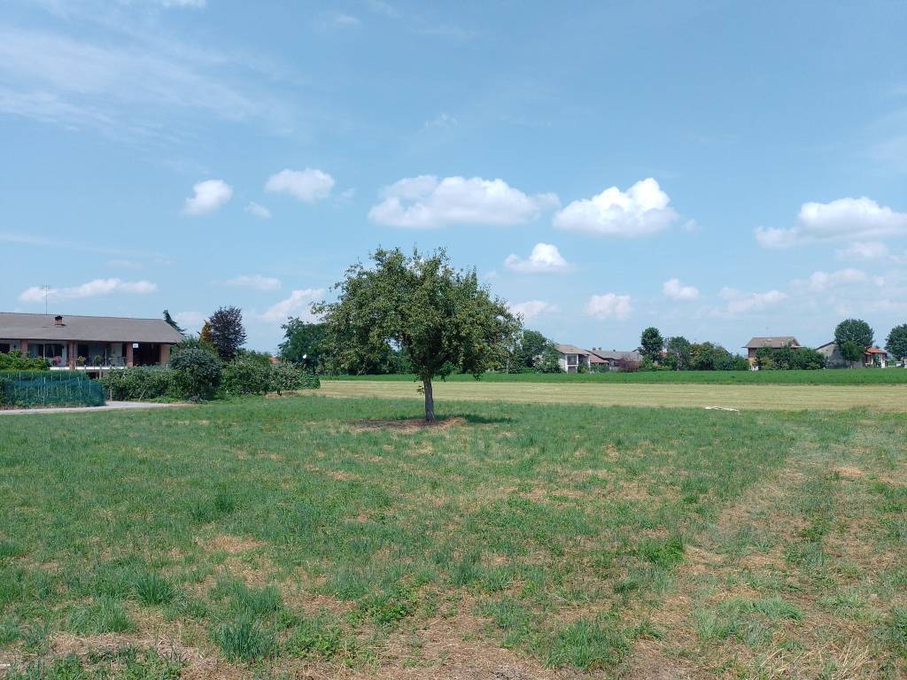 Terreno a Boves - Foto 5