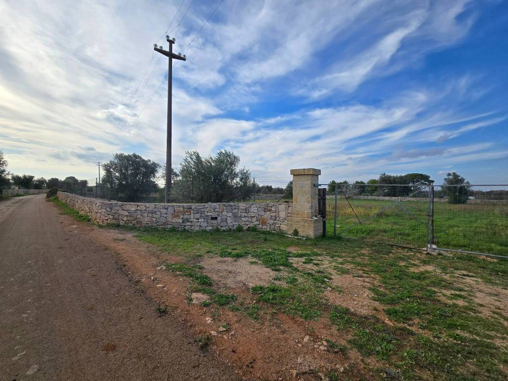Terreno a Galatone in Strada Vicinale Arini - Foto 2