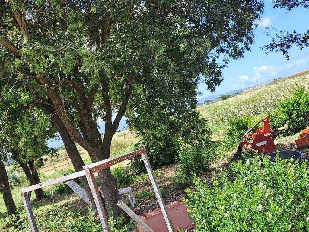 Appartamento a Orbetello - Foto 4