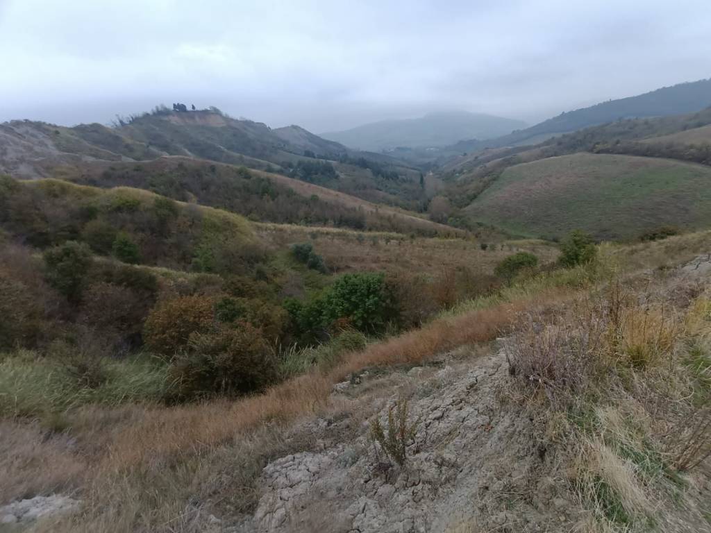 Terreno a Brisighella in Via Rovinale - Foto 2