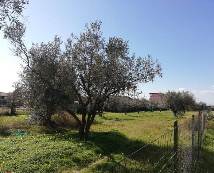 Terreno a Sellia marina - Foto 2