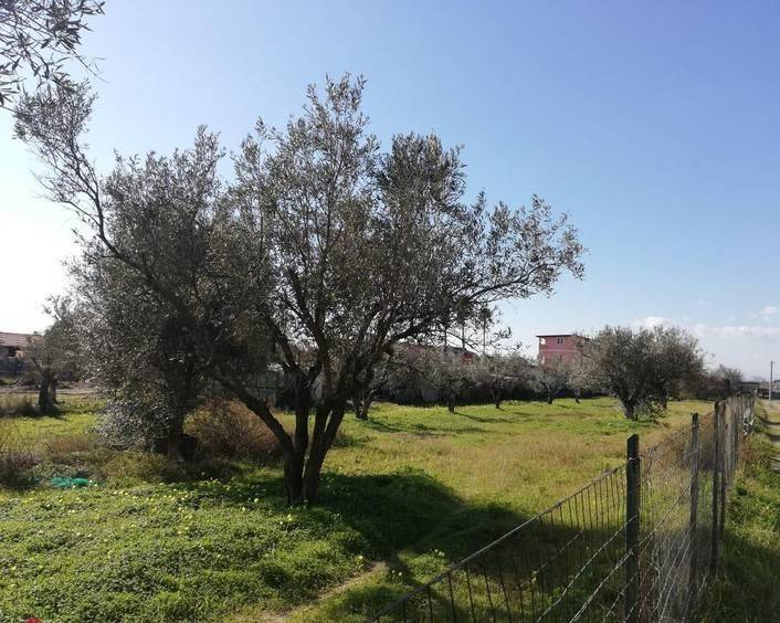 Terreno a Sellia marina - Foto 4