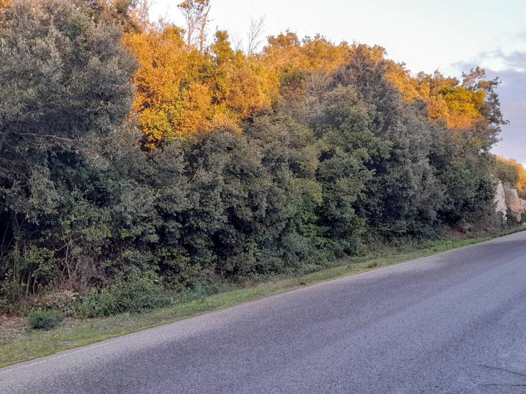 Terreno a Arzachena in SP115 - Foto 3