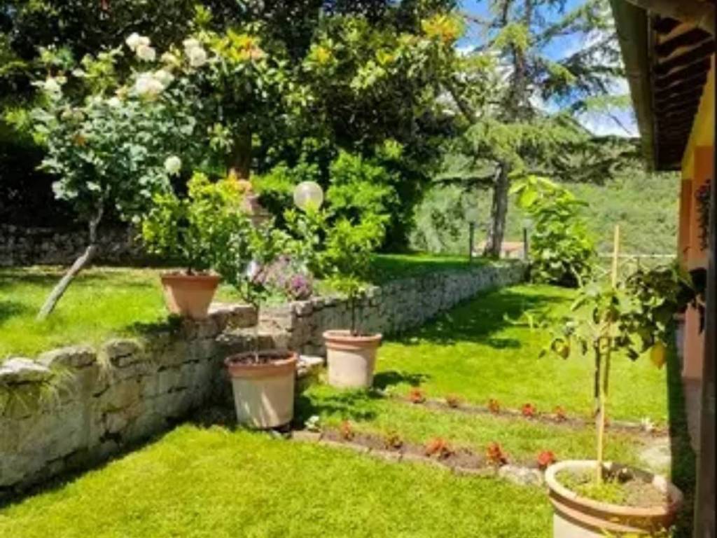 Rustico / casale a Scansano in Località Acquarella - Foto 2