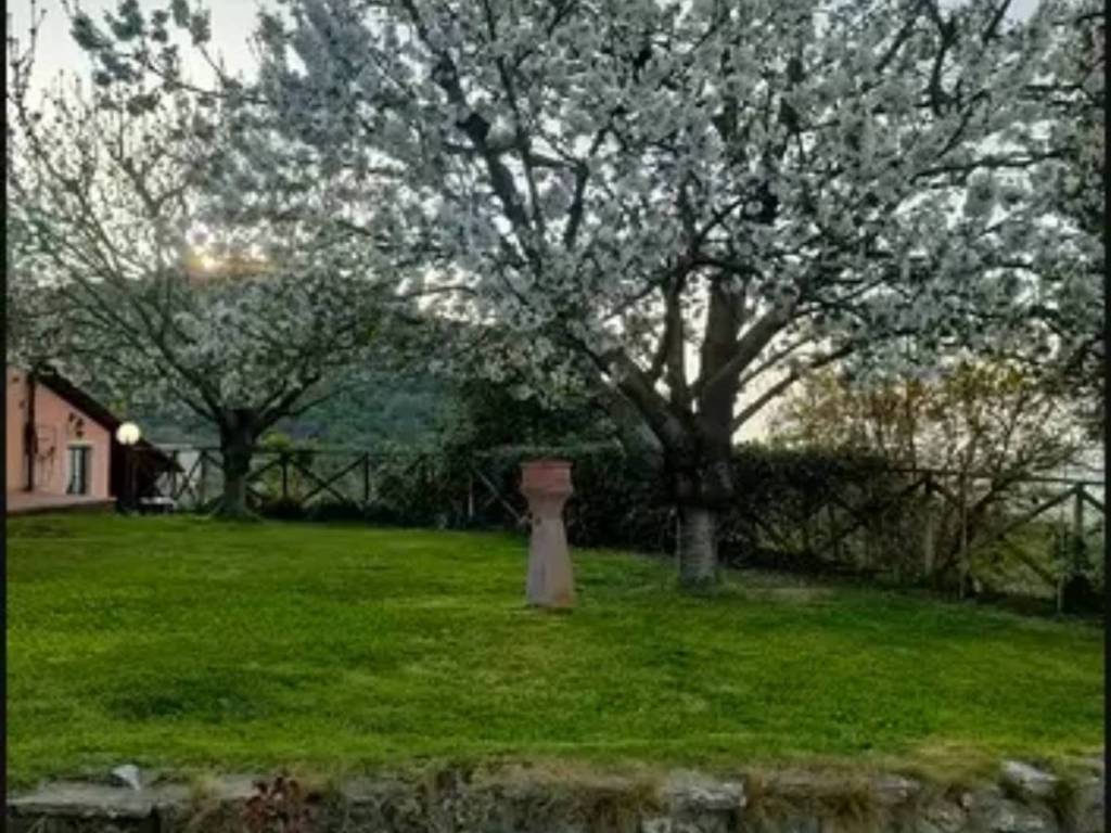 Rustico / casale a Scansano in Località Acquarella - Foto 3