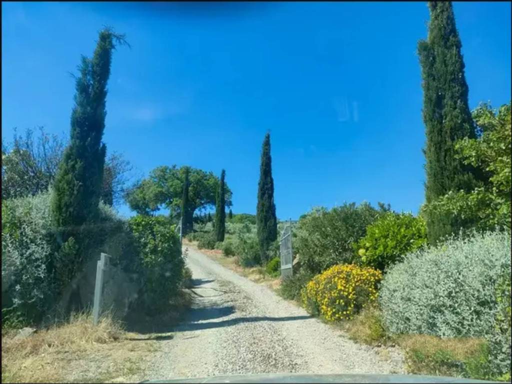 Rustico / casale a Scansano in Località Acquarella - Foto 4