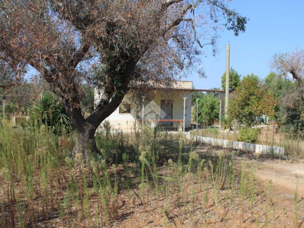 Rustico / casale a Carovigno in Contrada Computista - Foto 5