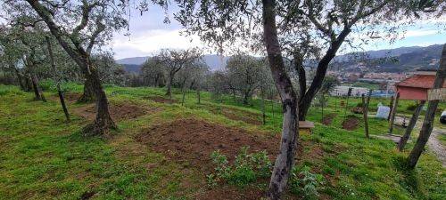 Casa indipendente a Arcola - Foto 2