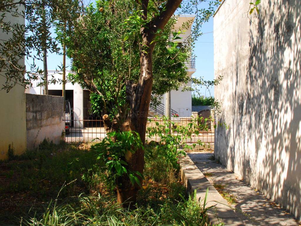 Rustico / casale a Salve in Via Carlo Del Prete, 42 - Foto 5