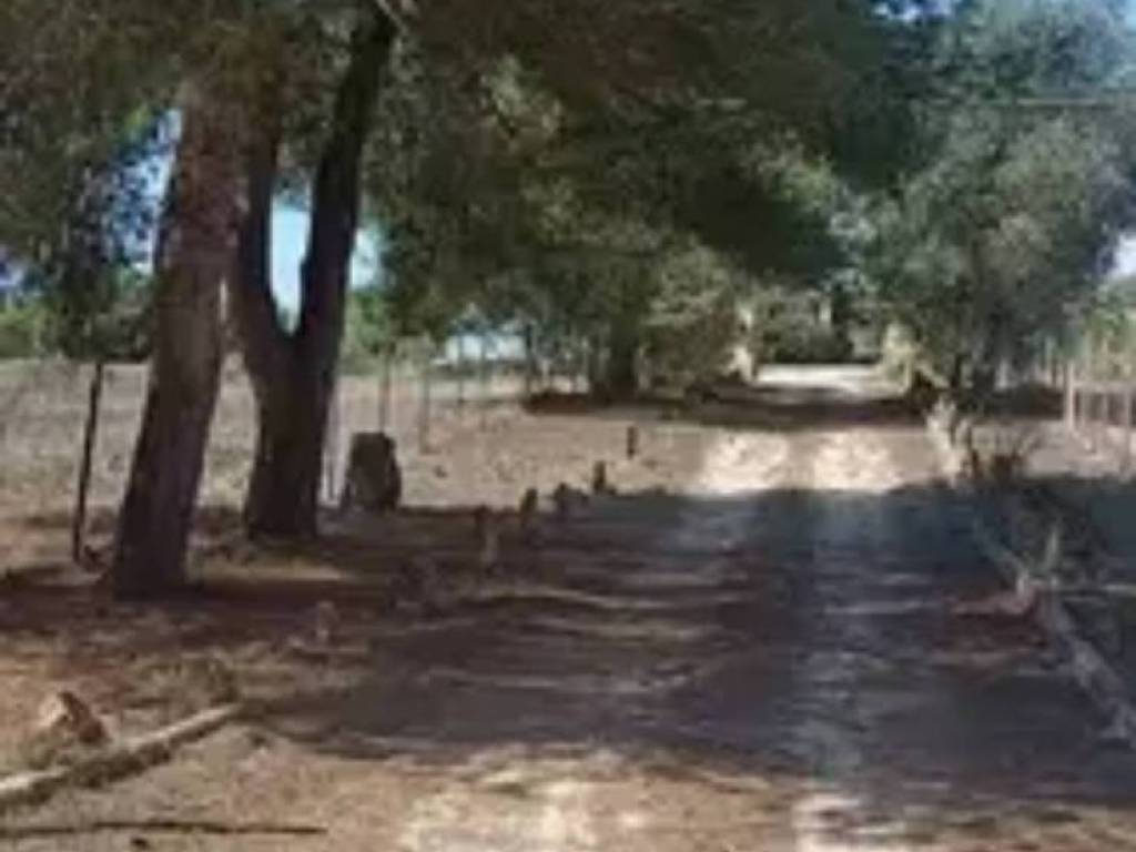 Casa indipendente a Alghero in Strada Vicinale Tanca Farrà - Foto 3