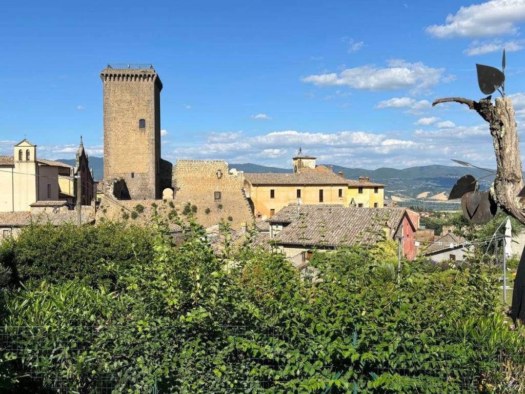 Casa indipendente a Civitella d'agliano in piazza cardinal dolce - Foto 3