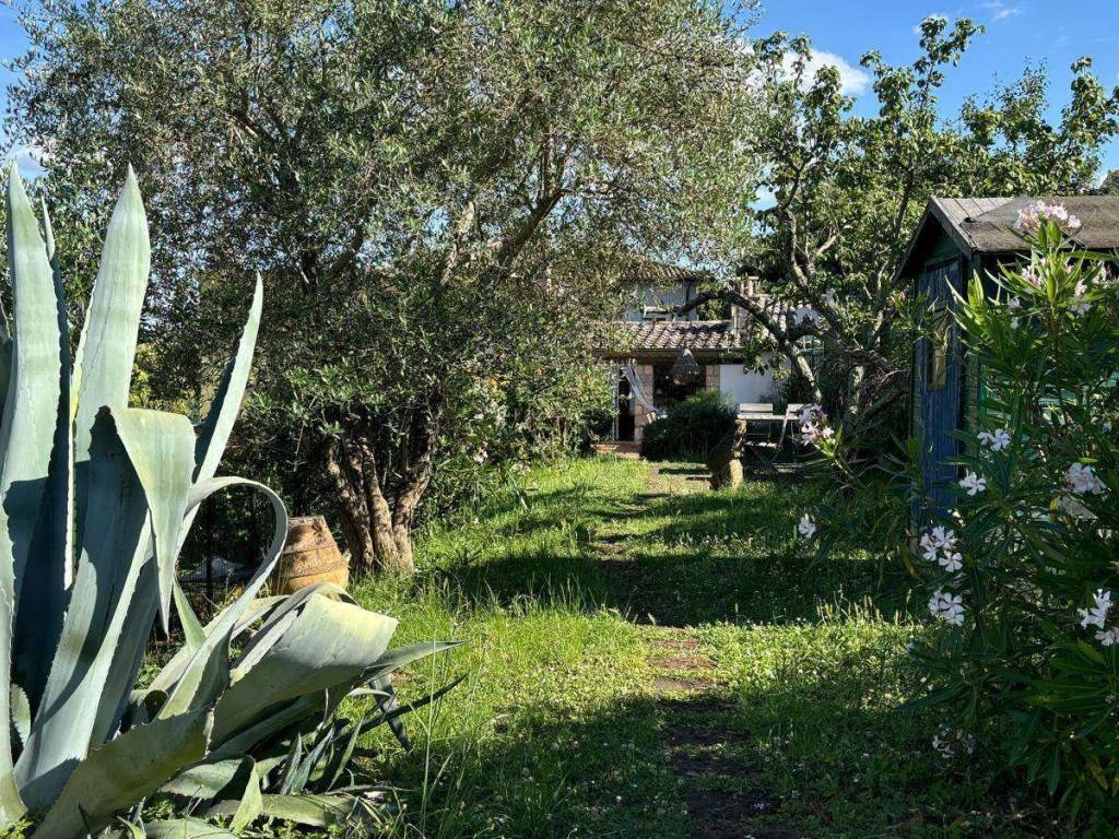 Casa indipendente a Civitella d'agliano in piazza cardinal dolce - Foto 4