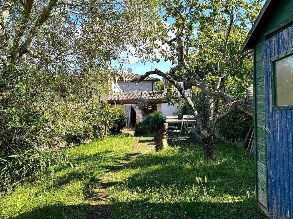 Casa indipendente a Civitella d'agliano in piazza cardinal dolce - Foto 5